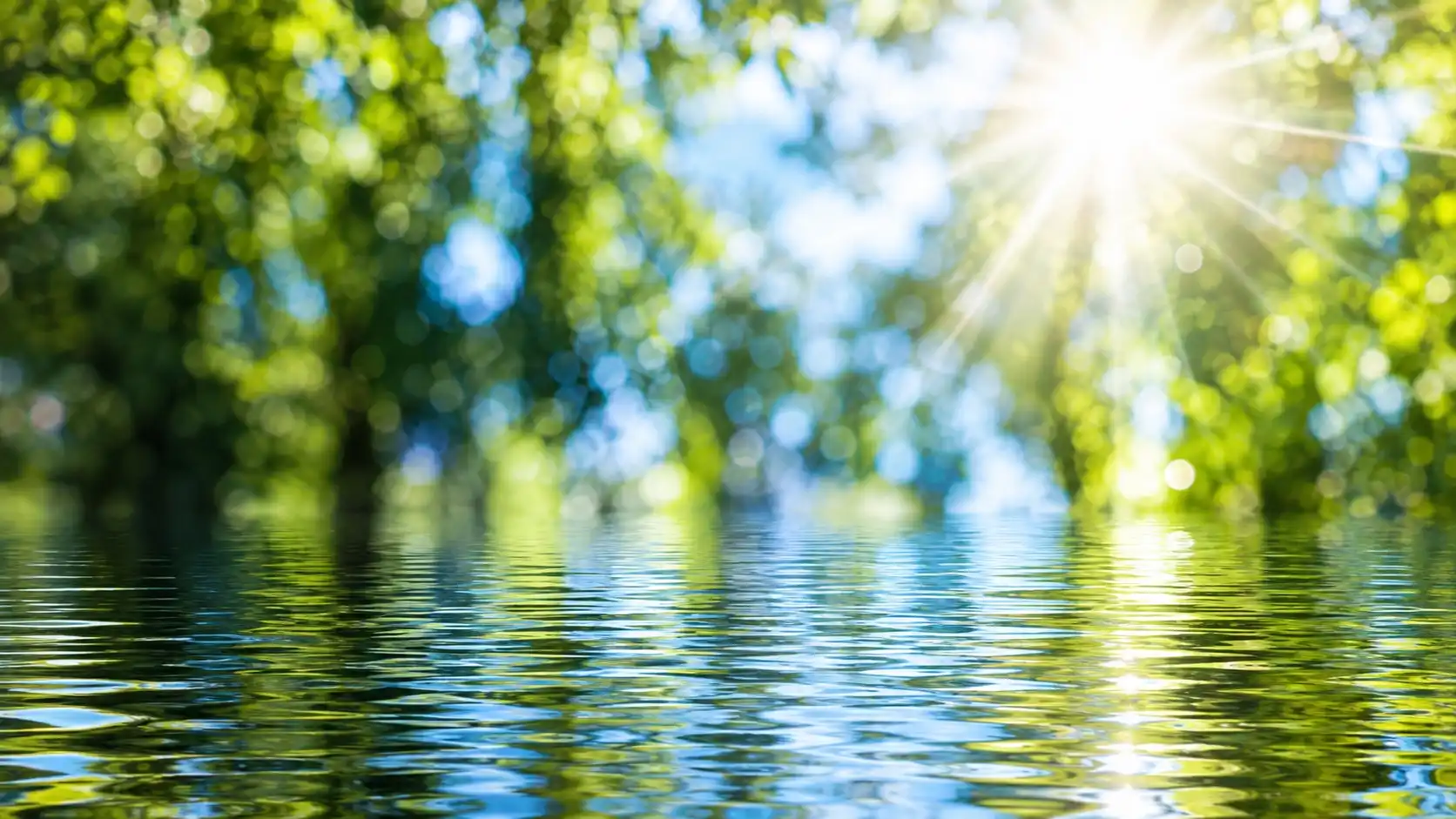 Sonnenlicht fällt durch Blätter auf eine ruhige Wasseroberfläche